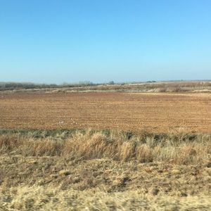 Meet your Posher, Chase